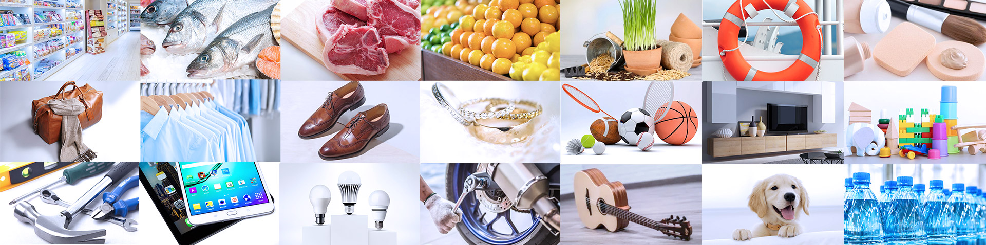 Programa multisectorial