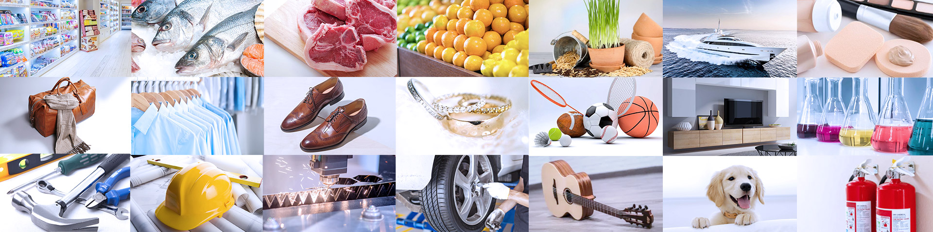 Programa multisectorial